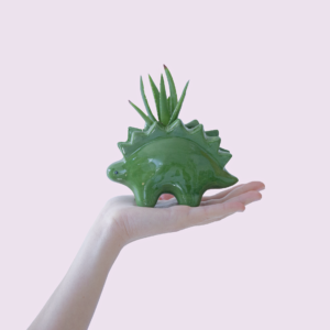 Plantisaurio estegosaurio