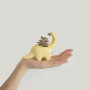 Plantisaurio mini come hoja amarillo