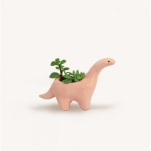 Plantisaurio mini apricot