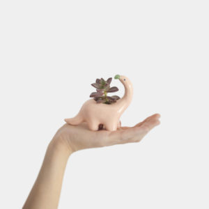 Plantisaurio mini come hoja apricot