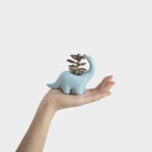 Plantisaurio mini come hoja azul