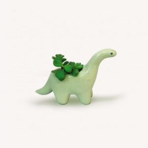 Plantisaurio mini verde