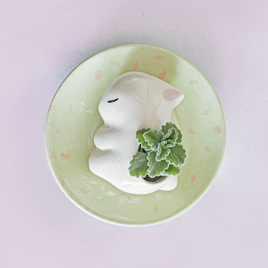 Set maceta+plato de conejito dormido