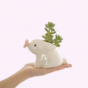 Conejito con mariposa