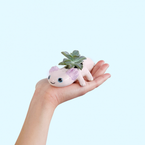 AXOLOTE MINI - ROSA-LILA